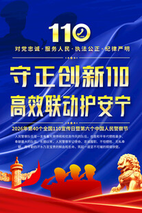 110宣传海报