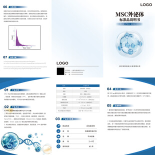 科技报告封面展示 画册 说明书