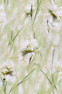 淡雅白色花卉图案背景