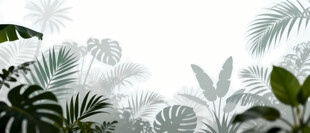 雾气磨砂膜效果绿植贴图