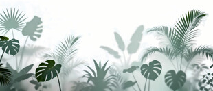 雾气磨砂膜效果绿植贴图