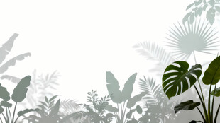 雾气磨砂膜效果绿植贴图