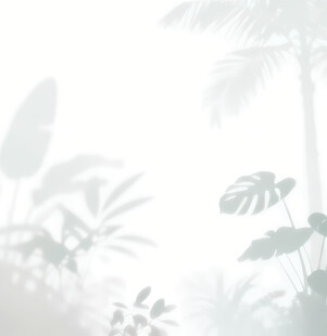 雾气磨砂膜效果绿植贴图