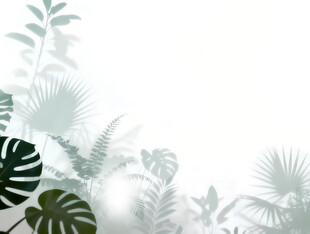 雾气磨砂膜效果绿植贴图