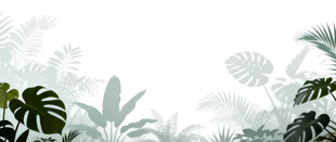 雾气磨砂膜效果绿植贴图