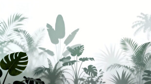 雾气磨砂膜效果绿植贴图