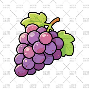 葡萄插画