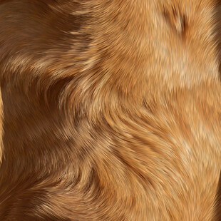 棕色动物毛发皮毛纹理