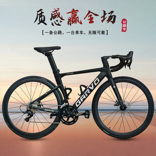 高端公路自行车