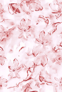 粉色梦幻樱花花卉图案