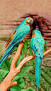 树枝上的多彩鹦鹉