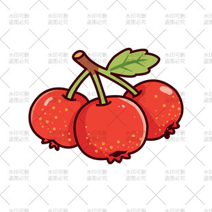 山楂插画