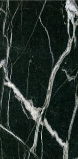 黑色黑白根大理石石纹