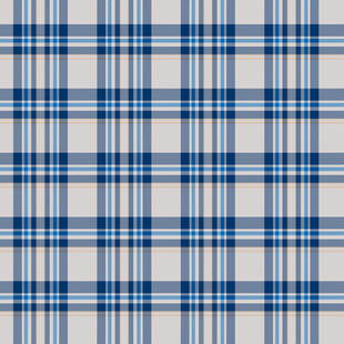 蓝白格子图案纹理