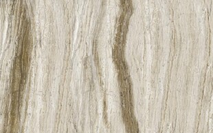 浅棕色树化玉大理石石纹