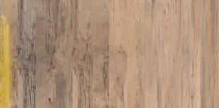 浅棕色木纹纹理特写