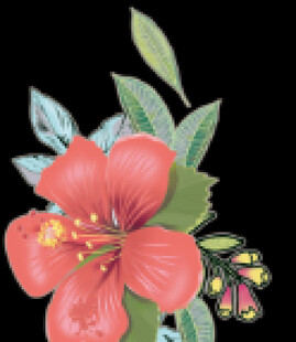 手绘扶桑花可改色 有牛仔底纹