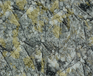 岩石表面的斑驳苔藓