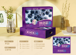 蓝莓包装礼盒