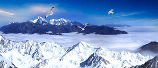 雪山背景壁画 雪山挂画