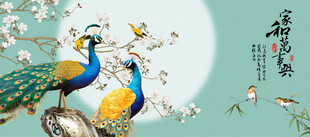 玉兰花孔雀花鸟画