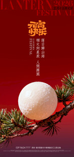 房地产小众创意元宵节海报