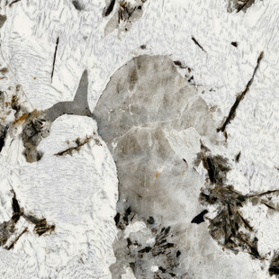 地板 新品奢华石纹 高端大图 