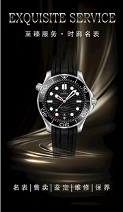 奢华精致机械腕表展示