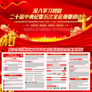 中央纪委五次全会重要讲话