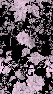 黑白花卉图案背景