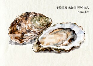 手绘生蚝免扣PNG