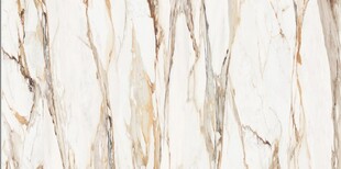 白色鱼肚金大理石石纹