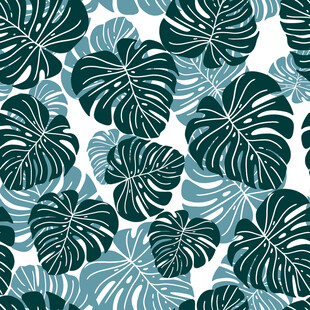 热带龟背竹叶图案背景