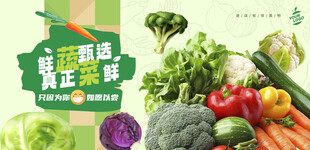 蔬菜海报