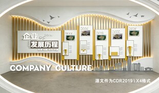 发展历程文化墙