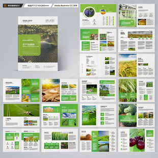 农产品宣传册