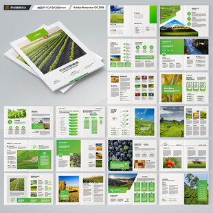 农产品宣传册