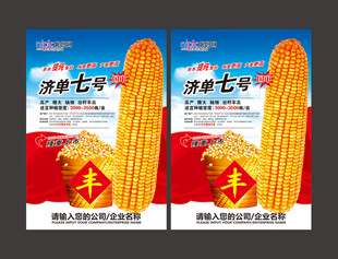 玉米宣传海报