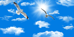 蓝天白云天花软膜背景