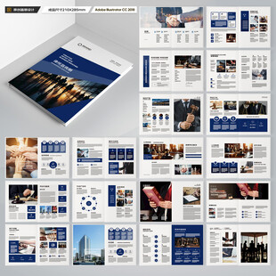 大气律师事务所画册