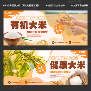 大米