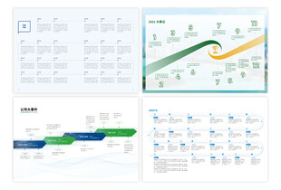 企业大事记 发展历程