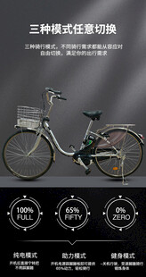 三轮载重自行车展示图