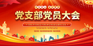 党支部党员大会背景