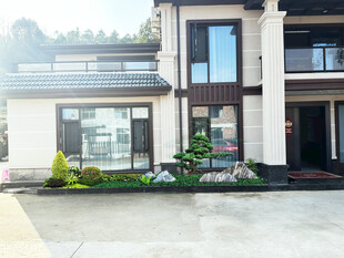 别墅庭院绿化改造设计效果图