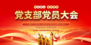 党支部党员大会背景展板