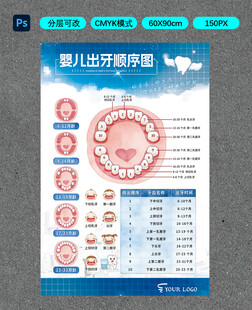 婴儿出牙顺序图表