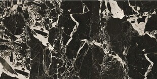 黑金花网纹大理石石纹