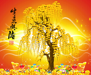 招财树 