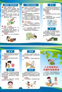 急救日三折页